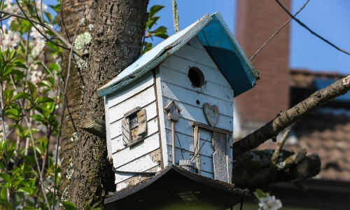 Terragrama Interiorismo Consciente