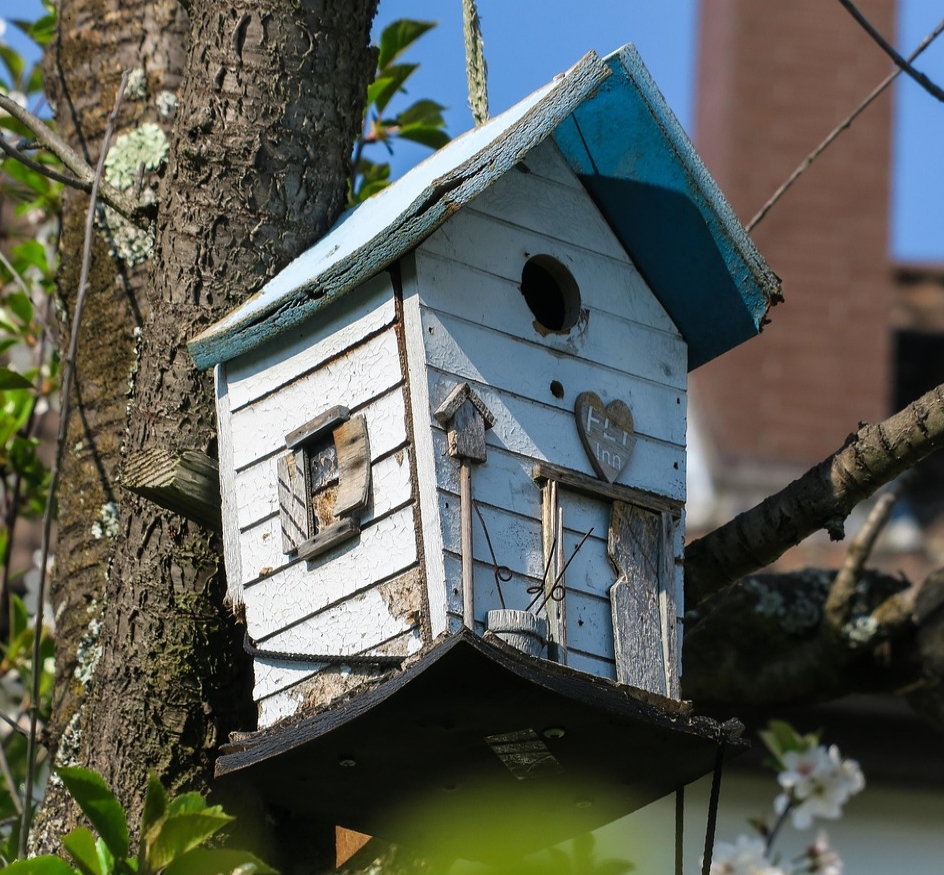 Terragrama Interiorismo Consciente